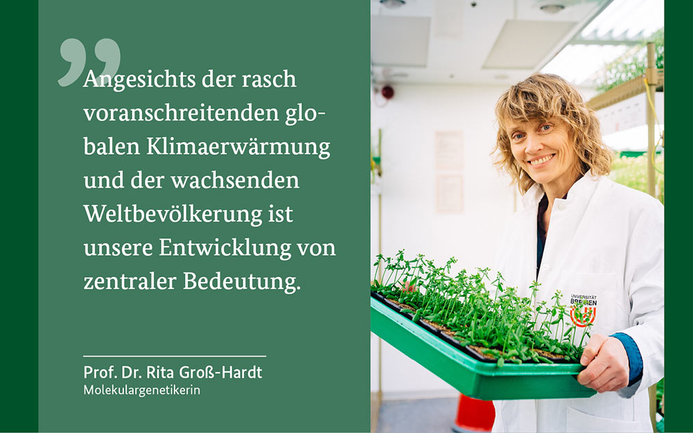 Prof. Dr. Rita Groß-Hardt, Photo: DPMA