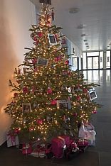 geschmückter Weihnachtsbaum