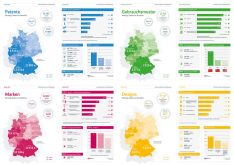 Grafiken zur DPMA-Statistik 