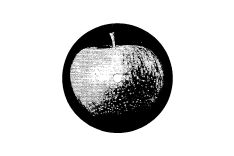Apple logo on the outside