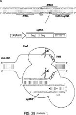 Genschere CRISPR: Zeichnung aus DE202013012242U1