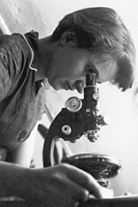 Rosalind Franklin, 1955