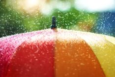 Colourful umbrella