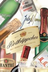several champagne bottles with the current brands