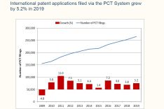 Grafik Internationale Patentanmeldungen 2019